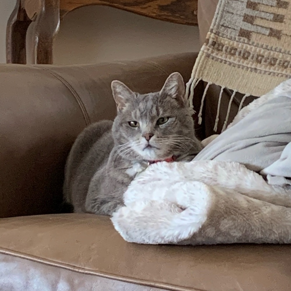 Meet your Posher, Jennifer